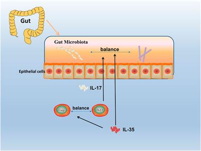 Pathogenesis and Function of Interleukin-35 in Rheumatoid Arthritis